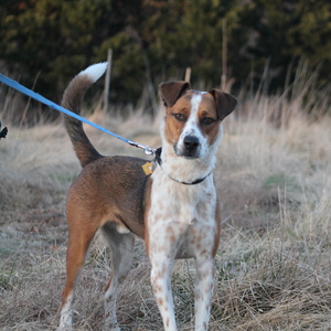 Fundraising Page: Karen Johnson